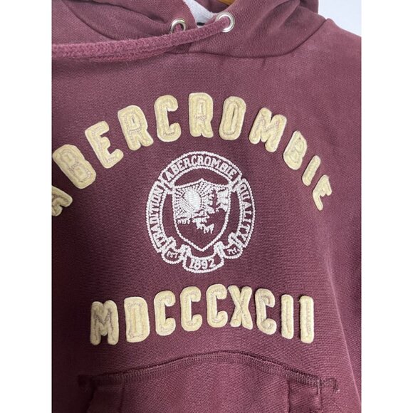 Abercrombie & Fitch Teen Men's Small Thick Heavy Burgundy Distressed Hoodie - Picture 4 of 14